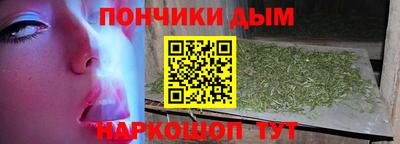 крисы Кулебаки